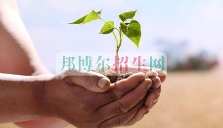 大專(zhuān)有金融管理嗎