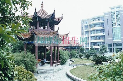 高中沒畢業(yè)可以學(xué)軟件技術(shù)嗎