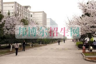 高中生可以讀軟件技術(shù)嗎