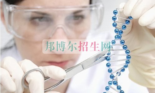 成都藥劑專業(yè)學校哪里好