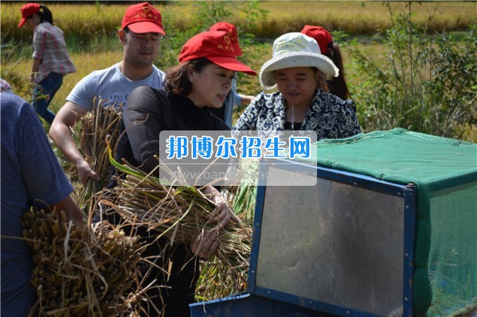 川北幼兒師范高等?？茖W(xué)校歲月積淀中的魅力女性