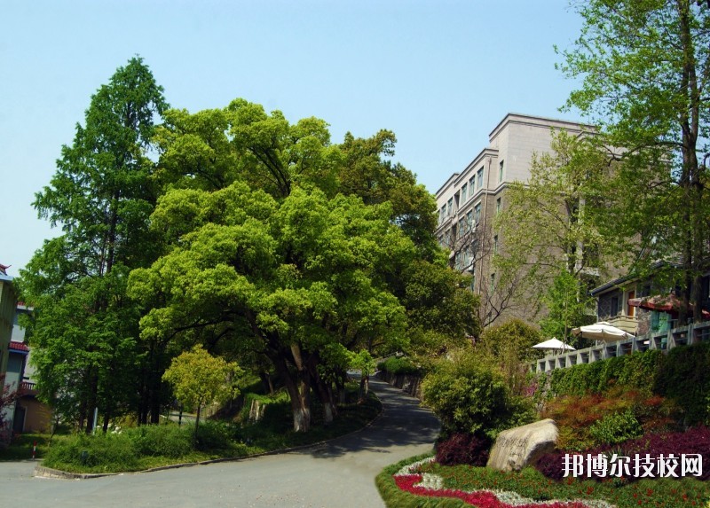 中國(guó)美術(shù)學(xué)院附屬中等美術(shù)學(xué)校2020年報(bào)名條件、招生要求、招生對(duì)象