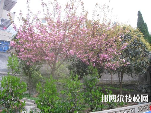 嵐皋縣中等職業(yè)技術(shù)學校2020年報名條件、招生要求、招生對象