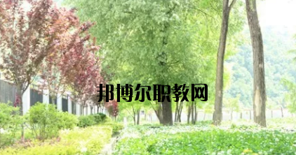 康縣職業(yè)技術(shù)學(xué)校2020年招生辦聯(lián)系電話