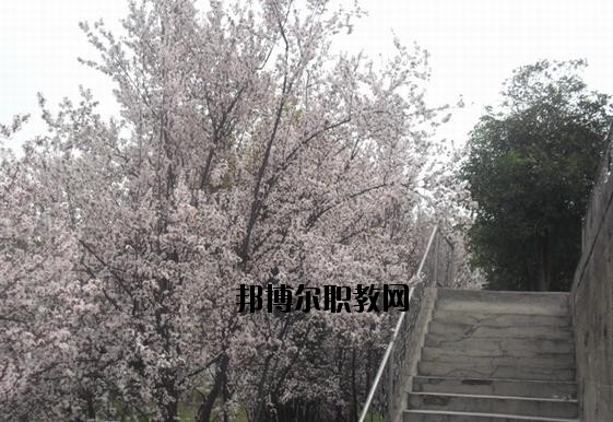 ?？德毥讨行膶W(xué)校網(wǎng)址網(wǎng)站