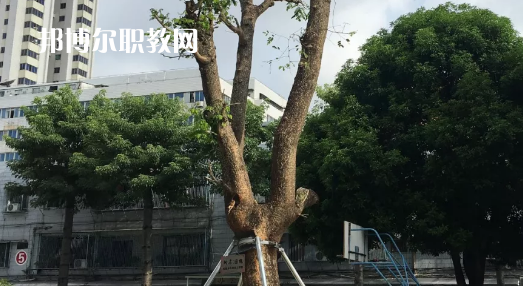 汕頭經(jīng)貿(mào)職業(yè)技術(shù)學校2021年招生錄取分數(shù)線