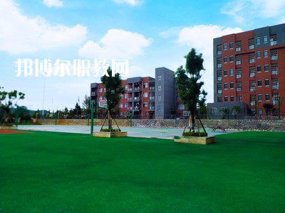 榮縣金科職業(yè)技術(shù)學(xué)校2021年招生錄取分數(shù)線