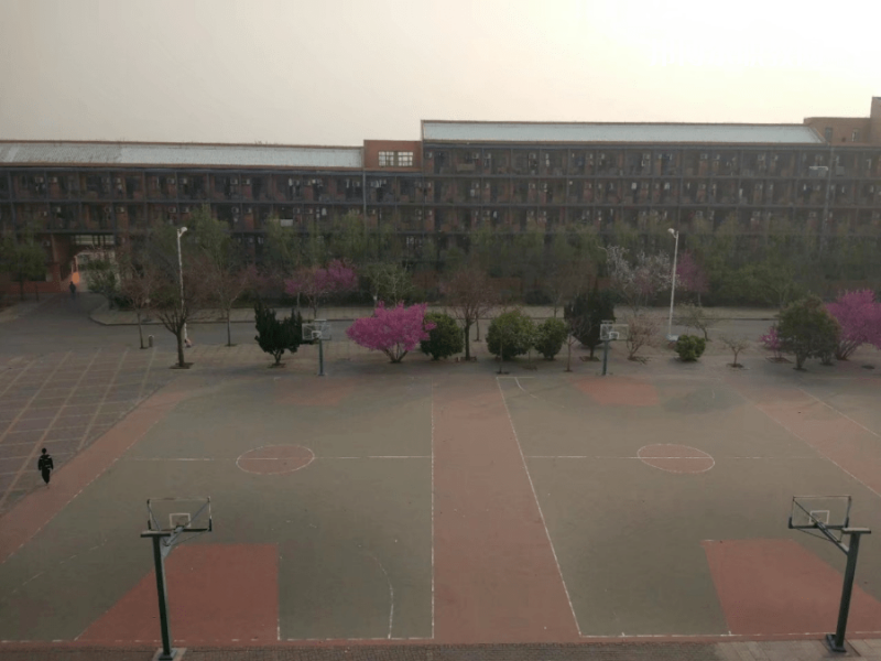 邯鄲第四職業(yè)中學怎么樣、好不好