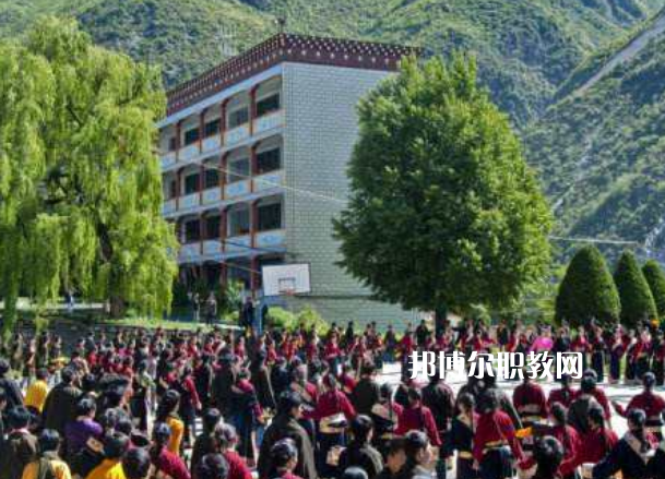 四川省藏文學(xué)校2022年報名條件、招生要求、招生對象