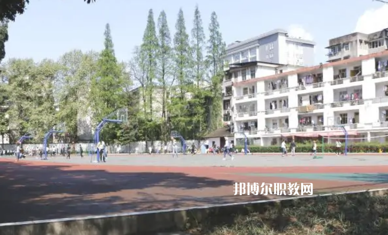 四川省檔案學(xué)校2022年報(bào)名條件、招生要求、招生對(duì)象