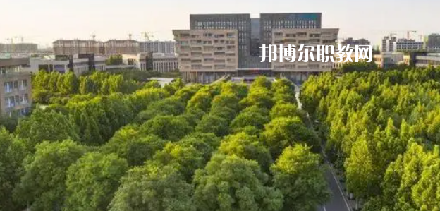 2023山東十大?？茖W(xué)校名單及排行榜