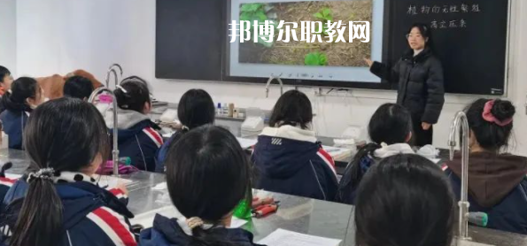 遂寧市船山職業(yè)技術學校2023年招生錄取分數(shù)線