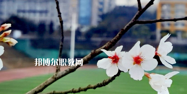 2023眉山技師學(xué)院招生計劃 招生人數(shù)是多少(附要求、條件、對象)