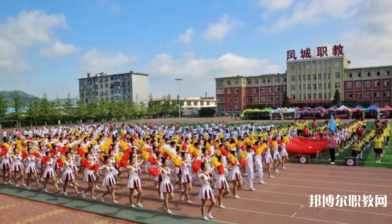 鳳城市職業(yè)教育中心網站網址主頁