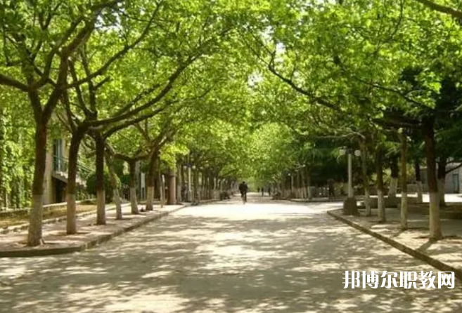 2025孝感中專學(xué)校最新排名前三名單